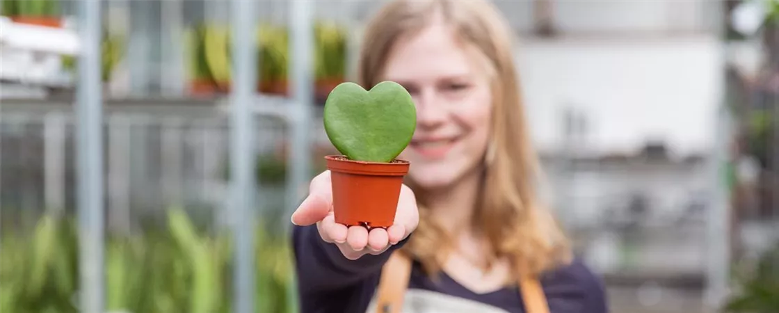 Einkauf im Pflanzengroßmarkt - Frau hält Pflanze