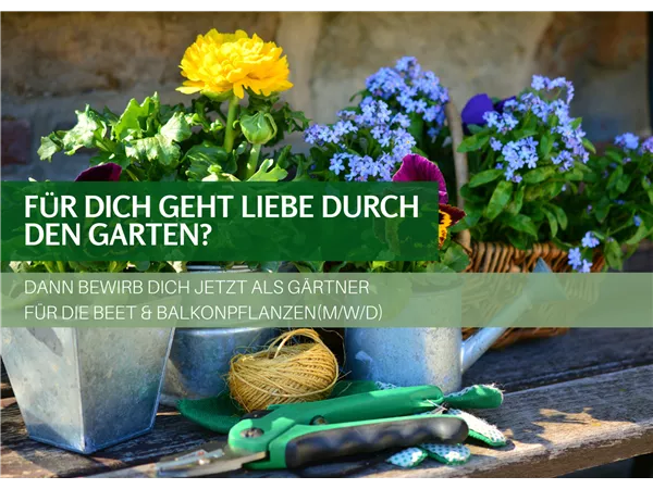 Gärtner Zierpflanzen (m/w/d) für unsere Beet & Balkonpflanzen in Teil- & Vollzeit