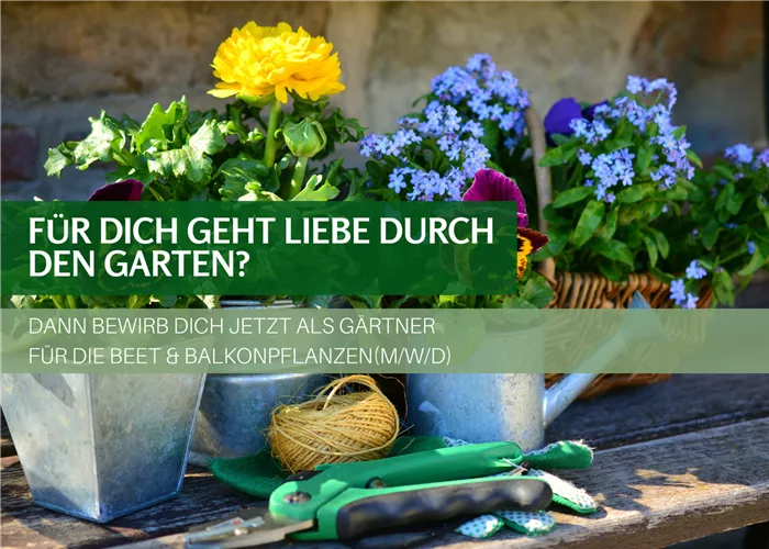 Gärtner Zierpflanzen (m/w/d) für unsere Beet & Balkonpflanzen in Teil- & Vollzeit