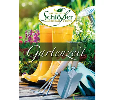 Versandgutschein Versandgutschein