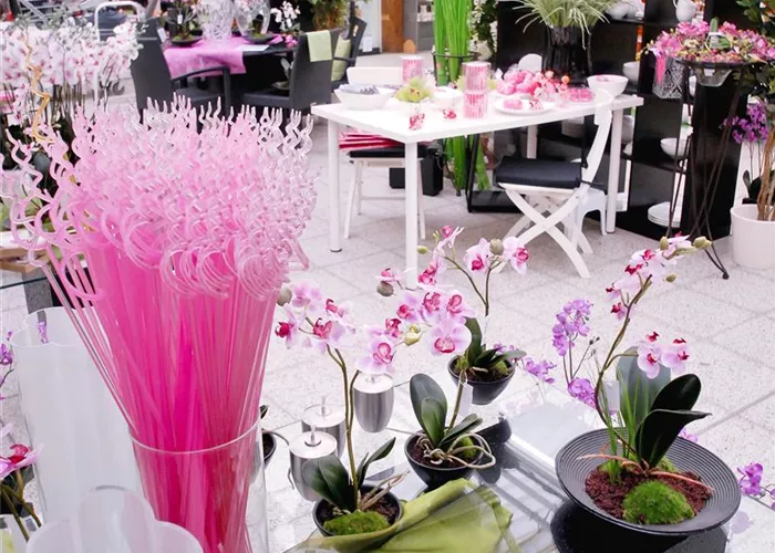 Orchideenstäbe Orchideenstäbe