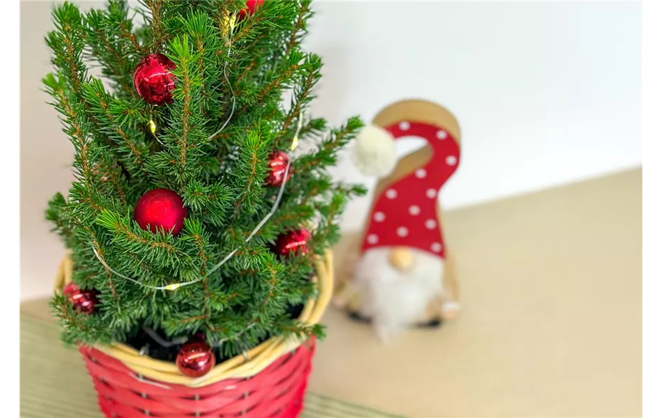 Mini-Tannenbaum dekorieren