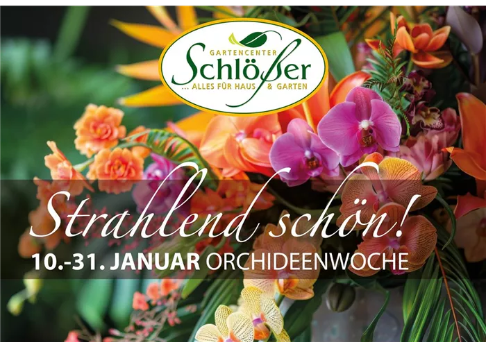 Erlebt Orchideen neu