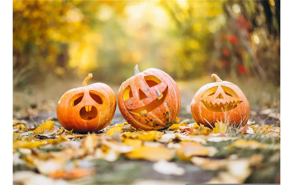 Kinder-Kürbis-Schnitzen