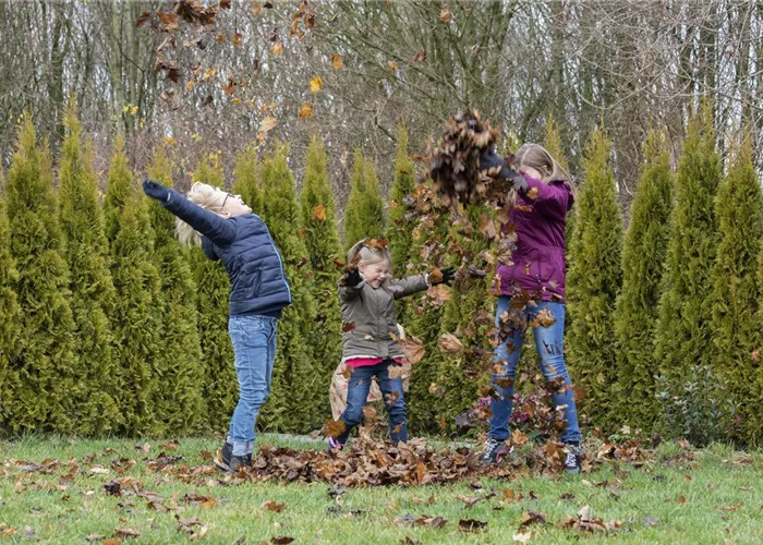 Spiel, Spaß und Sport: Der Garten als grünes Fitness-Studio Spiel, Spaß und Sport: Der Garten als grünes Fitness-Studio