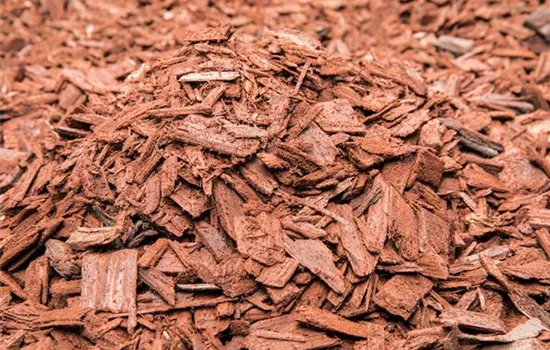 Der Mulch macht’s Der Mulch macht’s