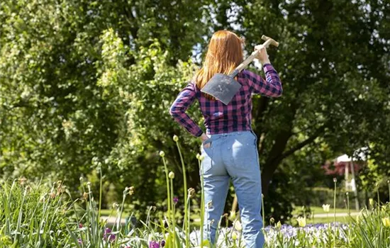 Der Gartenboden – jeder braucht mal Unterstützung Der Gartenboden – jeder braucht mal Unterstützung