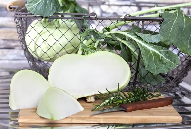 Brassica oleracea var. gongylodes