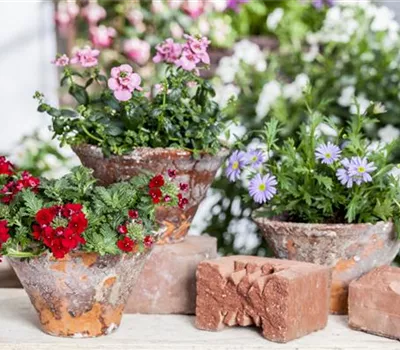 Der ganz große Stil im Garten - eine Anleitung für Menschen mit Liebe zu Effekten