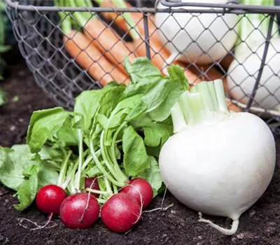 Erntegut haltbar machen