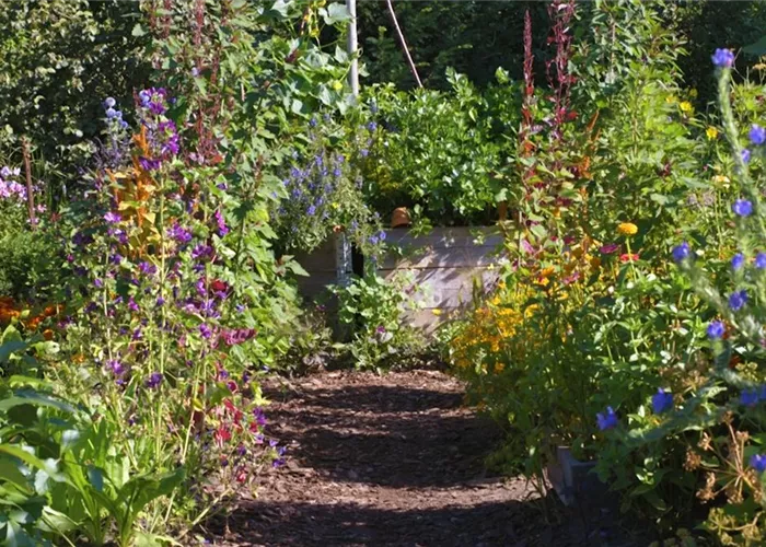 Gartengestaltung - Bauerngarten Gartengestaltung - Bauerngarten