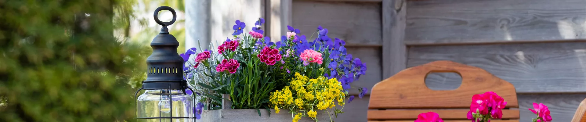 Bepflanzter Übertopf im Gartenambiente