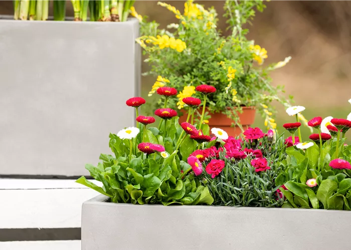 Gartenzubehör & Gartentechnik