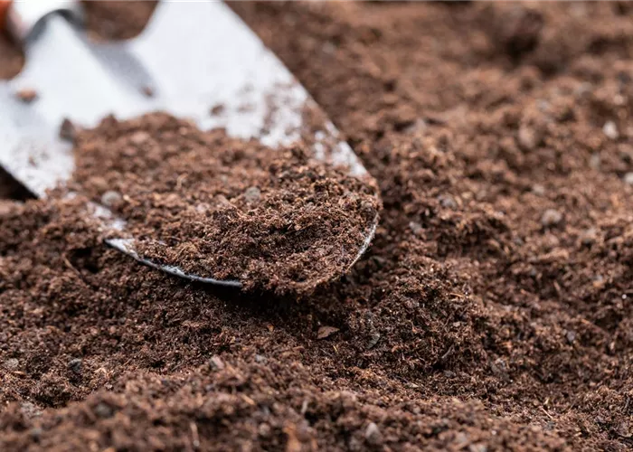 Substrate und Saatgut