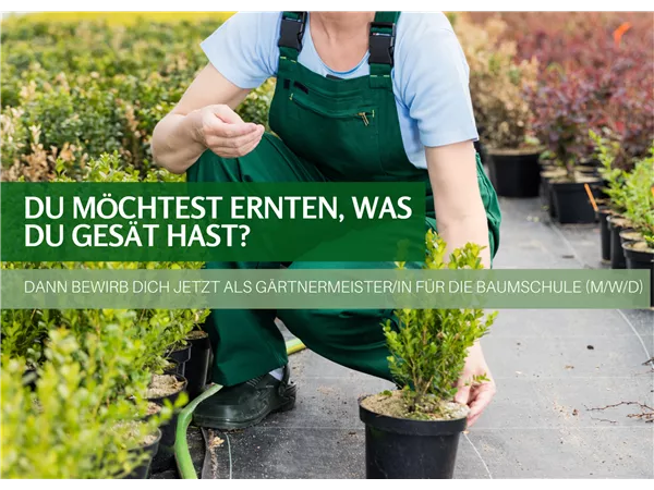 Gärtnermeister (m/w/d) für unsere Baumschule in Vollzeit
