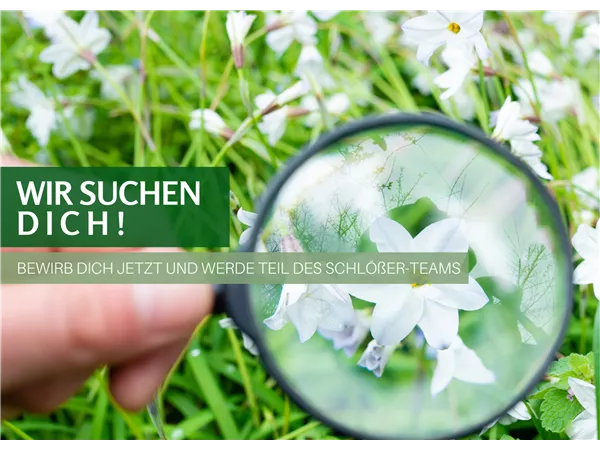 Empfangskraft (m/w/d) in Teilzeit